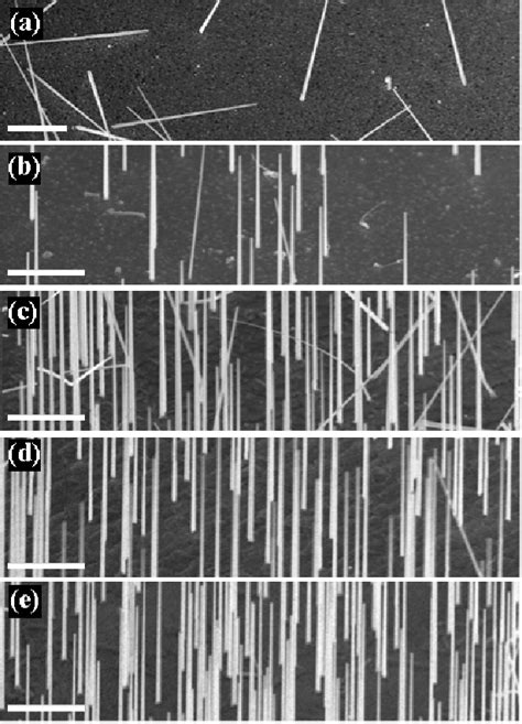 Sem Images Taken At Tilt Angle Of Gaas Nws Grown On A Si