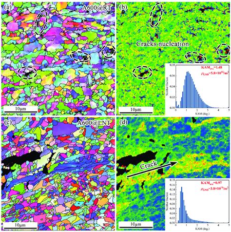 EBSD Characterization Of Deformed Microstructure Underneath Fracture