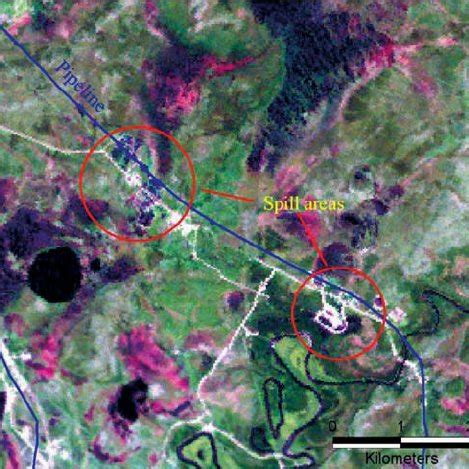 Oil spill À affected areas from 1994 close to the Kolva River, visible... | Download Scientific ...