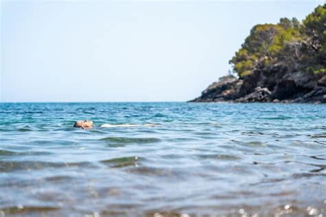 Chica Joven En Bikini Flotando En La Superficie Del Mar De Agua Azul Foto Premium