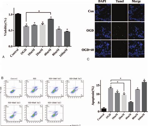 The 40 Mmoll Nacl Hs Protected Bend3 Cells Against Ogd Induced