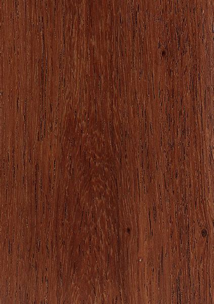 Burmese Rosewood The Wood Database Hardwood