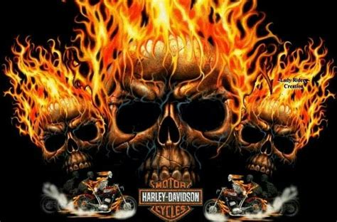 Harley Davidson Fire Art Skull Wallpaper Skull