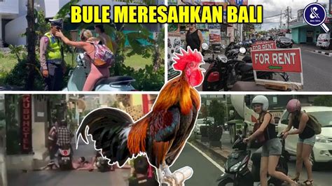 INGIN KUASAI BALI Deretan Tingkah Laku Bule Yang Bikin Warga Bali