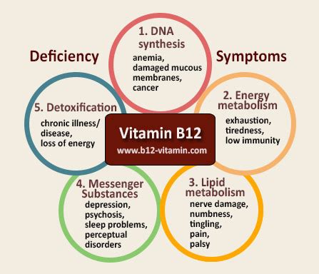 Vitamin B12 - An Overview