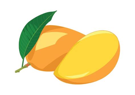 Premium Vector Vector Orange Juicy Bright Fresh Ripe Mango Vector