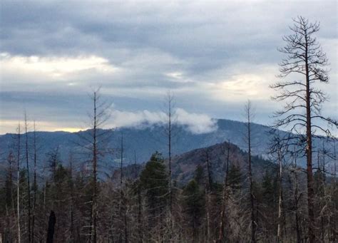 Burn Area East Side Of The Ochoco Mountains In Central Oregon Along