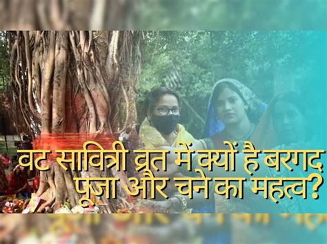 Vat Savitri Vrat 2023 Know Mythology Story Of Why Women Worship Banyan