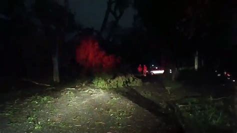 Chuva forte derruba árvore deixa rua sem luz e motociclista quase