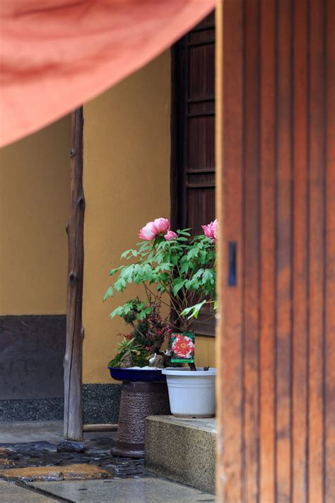 初寄り井上邸編祇園甲部 花景色K W C PhotoBlog