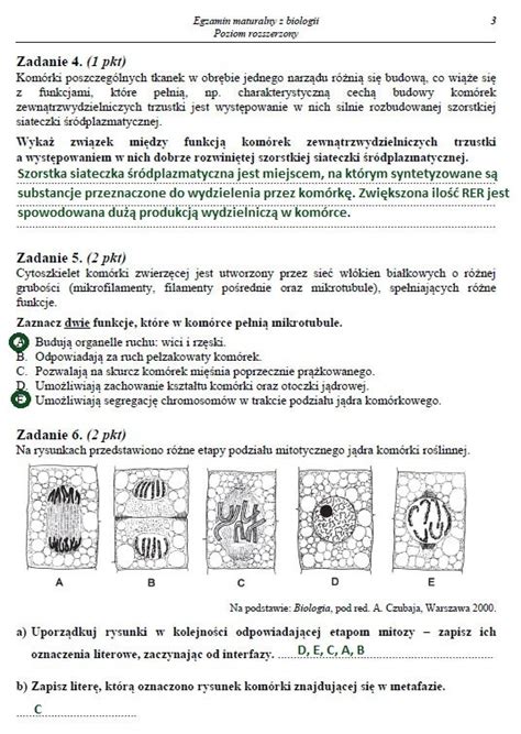 Egzamin Maturalny Z Biologii Poziom Rozszerzony Arkusz I Odpowiedzi