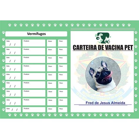 Cartão De Vacina Pet Cachorro Gato Animais De Estimação Shopee Brasil