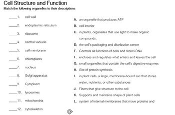 Answered Cell Structure And Function Match The Bartleby