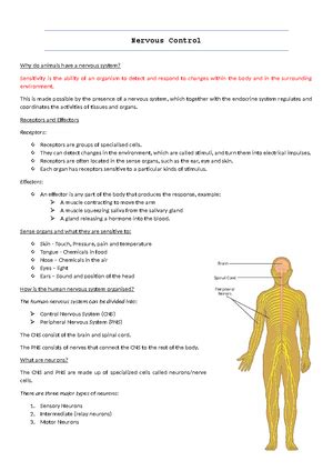 Prokayotic And Eukaryotic Cells Biology Intermediate Prokar Yo Tic