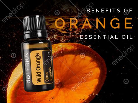 Benefits Of Using Dōterra Wild Orange Essential Oil Tease By Sibyl Smith