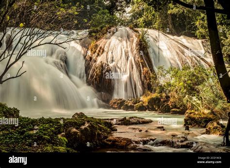 Cascadas De Agua Azul Banque De Photographies Et Dimages Haute