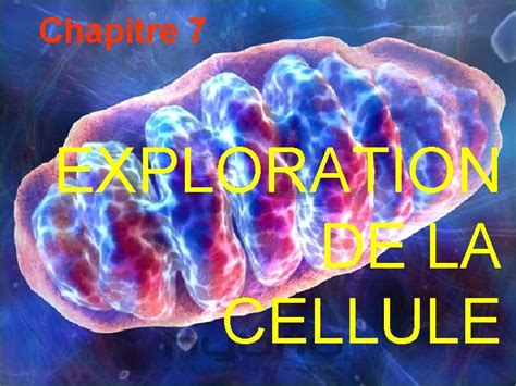 Chapitre 7 EXPLORATION DE LA CELLULE Taille Des