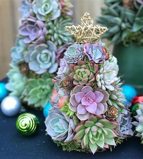 50 Stunning Succulent Christmas Trees
