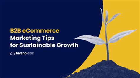 B B Ecommerce Marketing Tips For Sustainable Growth Tavano Team