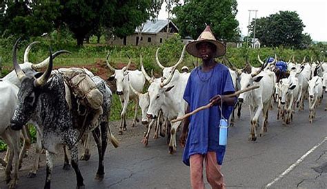 'Fulani/Herdsmen crisis: Struggle for natural resources'