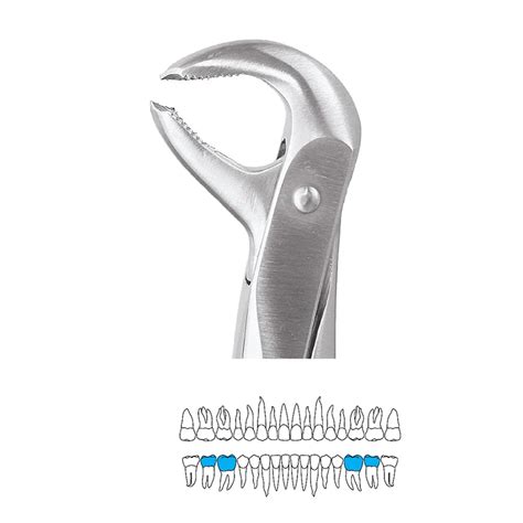 GDC Extraction Forceps Lower Molars 73 Premium FX73P DentalKart