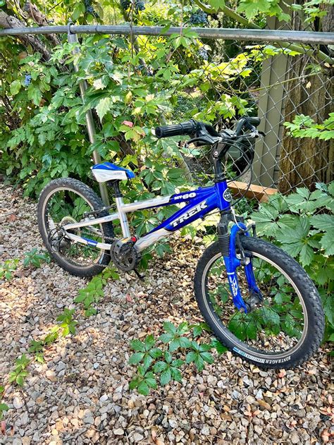 You won’t believe the secret treasure I found on Boise Facebook Marketplace 6