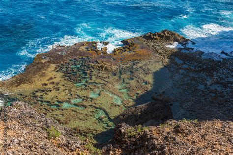 Caye Partiellement Recouverte D Eau Au Pied D Une Falaise Tropicale