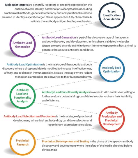 Antibody Drug Discovery