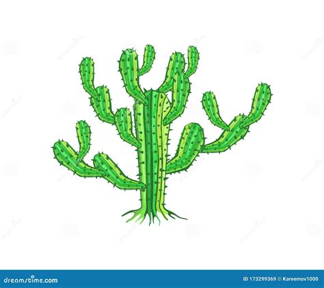 Cactus Tree Vector Illustration Isolated On White Background Stock