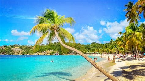 Que Faire en Guadeloupe TOP 23 Lieux à Voir Conseils Voyage Tips