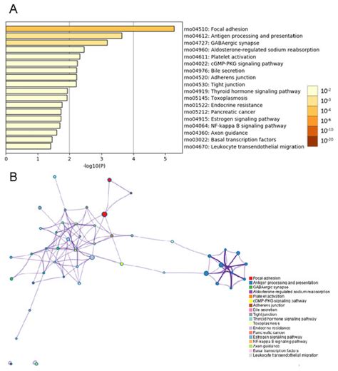 Differentially Expressed Transcripts And Associated Protein Pathways In