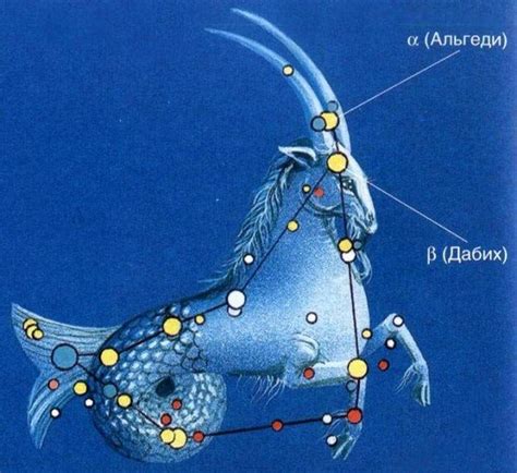 Картинки и рисунки зодиакального созвездия Козерог