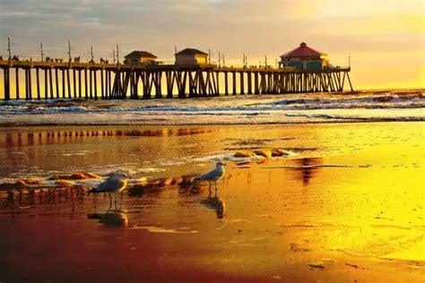 40 Of The Best Beaches In Southern California For Families