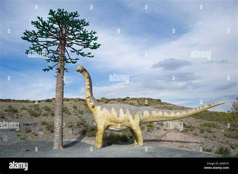 Replica Of Sauropod Camarasaurus Eating Leafs Of Araucaria Conifer Tree