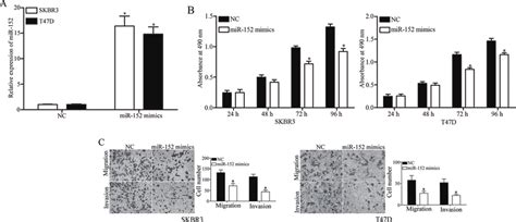 Restoration Of MiR 152 Expression Repressed Breast Cancer Cell