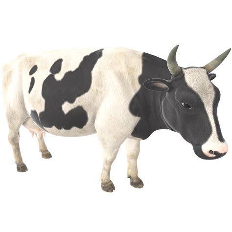 3D rendering of a cow with horns on a transparent background 26851524 PNG