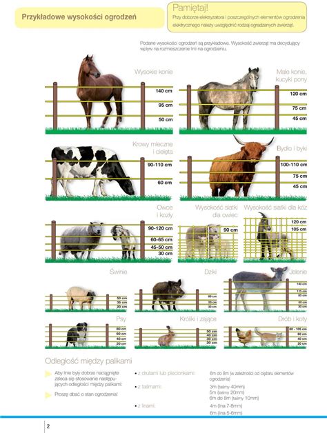 Horizont Pl Przewodnik Po Ogrodzeniach Elektrycznych PRACA ZE