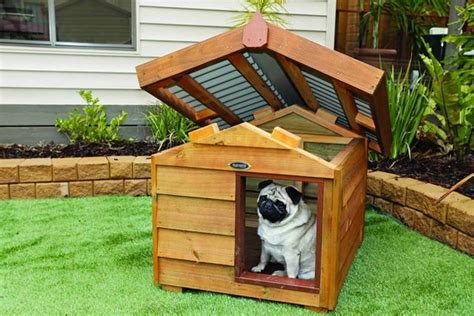 Adorable dog house designs for the comfortable living of our pets