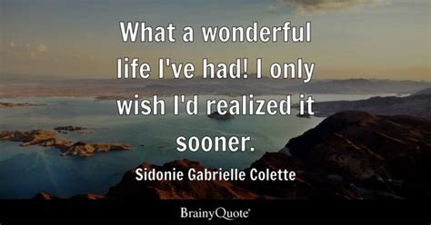 Wonderful Life Quotes - BrainyQuote