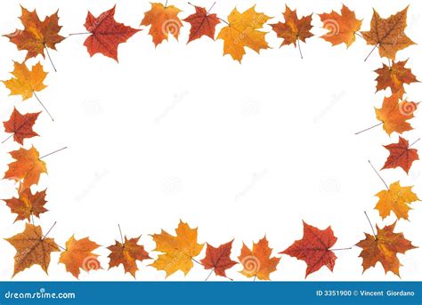 fall leaves frame stock photo image  brown change