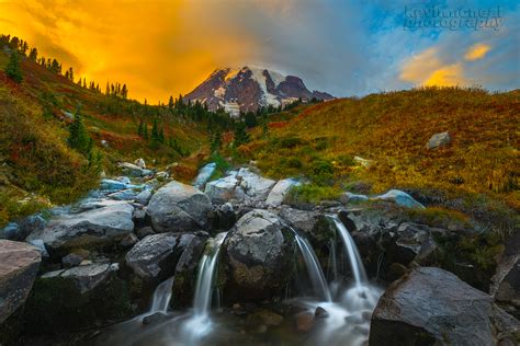 Photographing Fall Foliage In Mount Rainier National Park