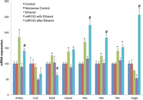 Bar Graphs Represent Real Time Rt Pcr Analysis For Mrna Expression Of Download Scientific