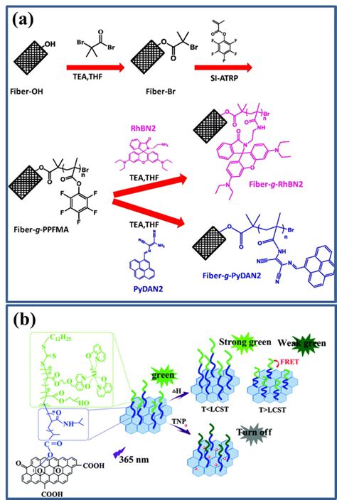 A Surface Initiated Atom Transfer Radical Polymerization Atrp Download Scientific Diagram