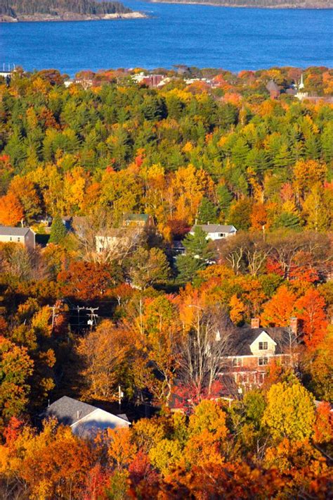 17 Best images about Fall Foliage in Bar Harbor and Acadia National ...