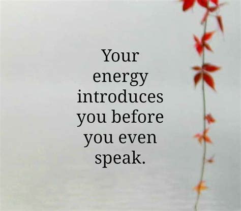 Your Energy Introduces You Before You Even Speak Shieldbar