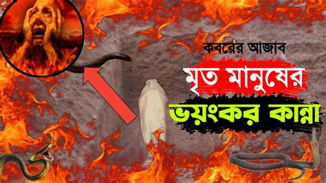 কবরের মানুষের ভয়ংকর কান্না 😱 কবরের আজাব Speech Of History Imam Bin