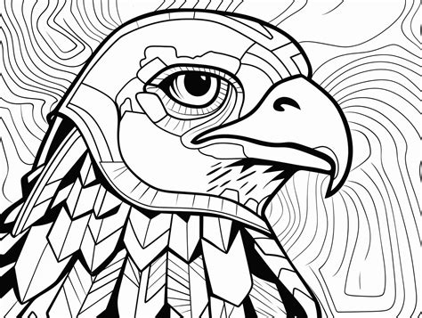 Vulture Beauty Coloring Page Coloring Page