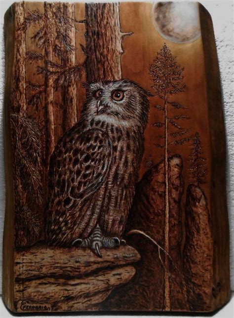 Owl Pyrography Art Artwork By Carlo Ferrario Pyrography Art Wood