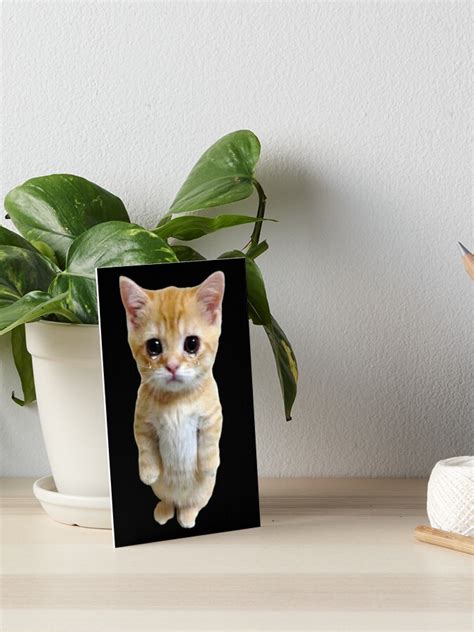 Hq Crying Cat Standing Up Meme Art Board Print For Sale By Fomodesigns Redbubble