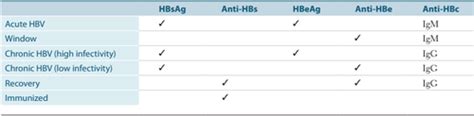 Hepatitis Serology Flashcards Quizlet